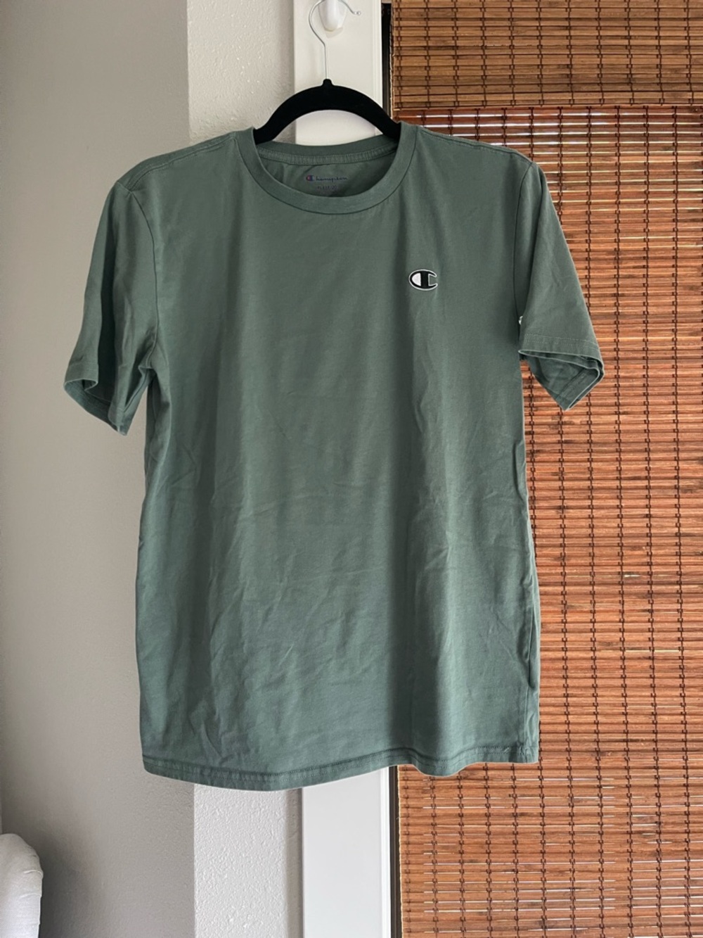 Champion Men's Short Sleeve Crewneck T-Shirt - Sage Green